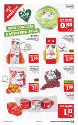 Gazetka promocyjna Marktkauf - Prospekt - Gazetka - ważna od 26.02 do 26.02.2022 - strona 9 - produkty: eis, eisbergsalat, kartoffel, kartoffeln, mam, mandarine, mandarinen, paprika, paprika rot, reis, salat, speisekartoffeln, tafeläpfel, tafeltrauben, Ti, tiefpreis, trauben