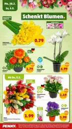 Gazetka promocyjna Penny - Prospekte - Gazetka - ważna od 05.03 do 05.03.2022 - strona 20 - produkty: auer, Becher, Mett, Narzissen, orchidee, sahne, Schmetterling, Ti