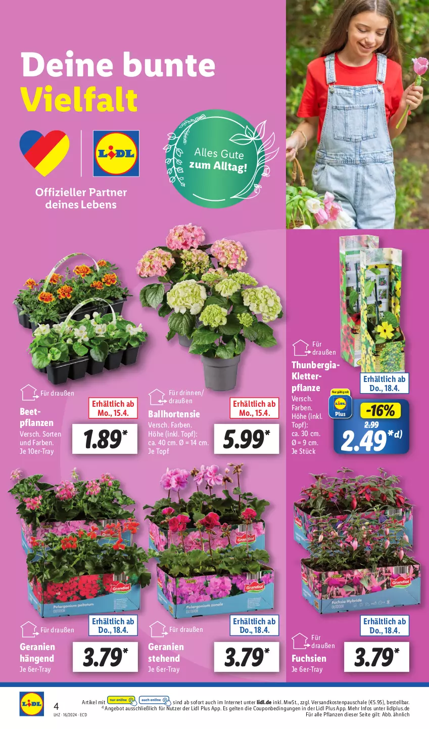 Aktueller Prospekt Lidl - Aktionsprospekt - von 15.04 bis 20.04.2024 - strona 8 - produkty: angebot, ball, beetpflanzen, coupon, geranie, geranien, hortensie, ndk, pflanze, pflanzen, Schal, Schale, Ti, topf