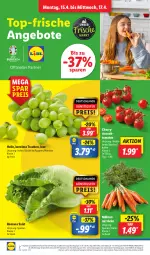 Gazetka promocyjna Lidl - Aktionsprospekt - Gazetka - ważna od 20.04 do 20.04.2024 - strona 2 - produkty: angebot, angebote, coupon, discount, eis, elle, frucht, magazin, möhren, obst, pril, Rauch, reis, salat, strauchtomaten, Ti, tomate, tomaten, trauben, und gemüse