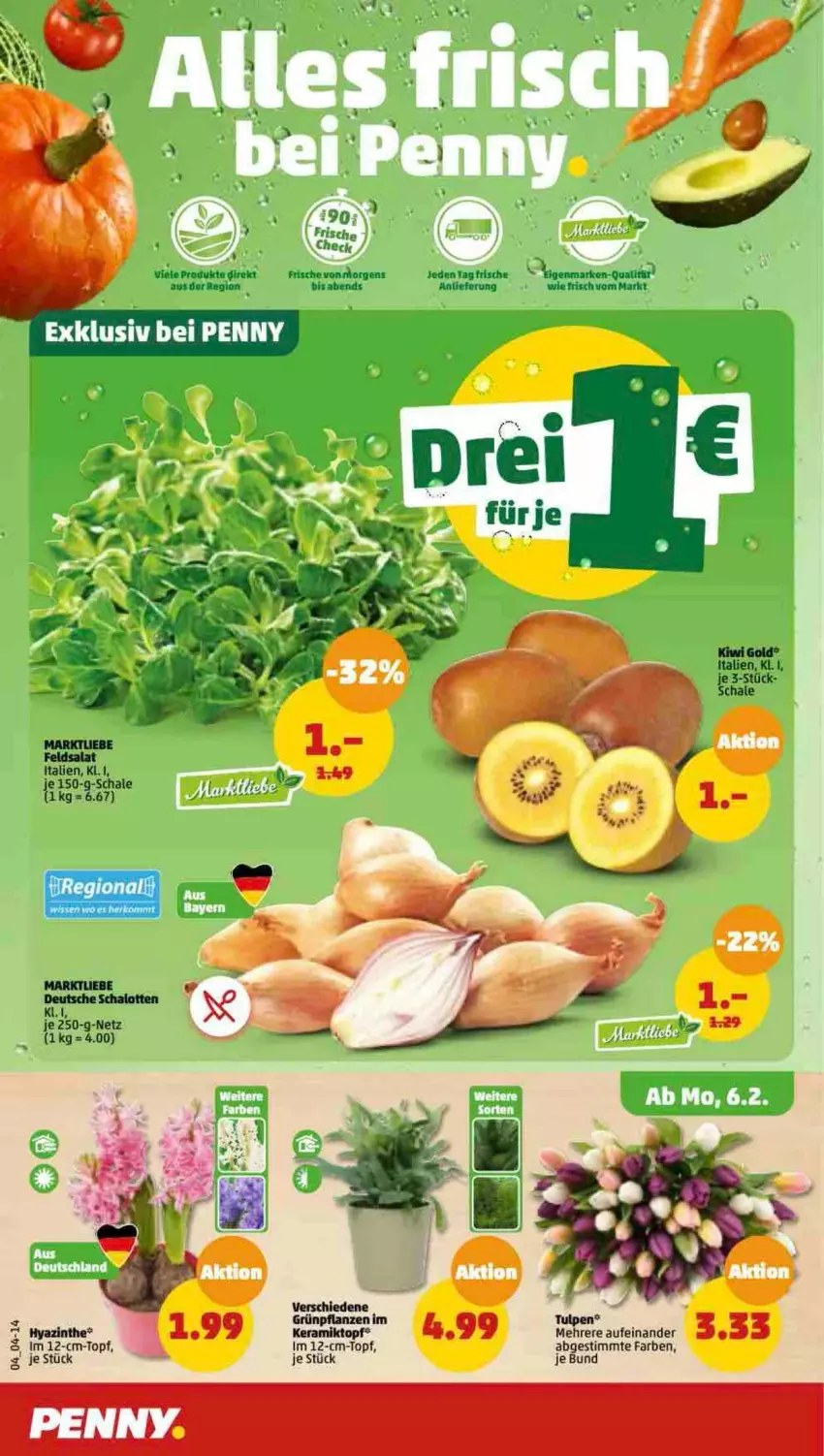 Aktueller Prospekt Penny - Prospekte - von 06.02 bis 11.02.2023 - strona 4 - produkty: feldsalat, kiwi, Kiwi Gold, salat, Schal, Schale, Ti, topf