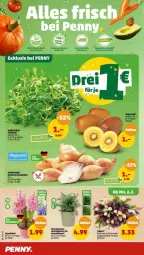 Gazetka promocyjna Penny - Prospekte - Gazetka - ważna od 11.02 do 11.02.2023 - strona 4 - produkty: feldsalat, kiwi, Kiwi Gold, salat, Schal, Schale, Ti, topf