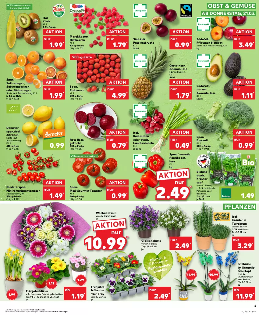 Aktueller Prospekt Kaufland - Prospekt - von 21.03 bis 27.03.2024 - strona 5 - produkty: ananas, angebot, angebote, avocado, basilikum, beere, beeren, bio, bioland, blume, Blutorange, broccoli, erdbeere, erdbeeren, frucht, himbeer, himbeere, himbeeren, kiwi, kräuter, Lauchzwiebel, lauchzwiebeln, Löffel, mandarine, mandarinen, Narzissen, obst, orange, orangen, orchidee, paprika, paprika rot, passionsfrucht, petersilie, pflanze, pflanzen, pflaume, pflaumen, Primeln, radieschen, Ria, rispentomaten, rote bete, rwe, saft, Saftorangen, Schal, Schale, schnittlauch, Ti, tisch, tomate, tomaten, topf, topf ø 12 cm, übertopf, zitrone, zitronen, zwiebel, zwiebeln