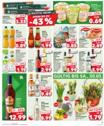 Gazetka promocyjna Kaufland - Prospekt - Gazetka - ważna od 27.03 do 27.03.2024 - strona 23 - produkty: Alwa, Amber, angebot, angebote, apfel, auer, Bad, Becher, becks, becksteiner, bio, blume, blumen, blumenöl, burgunder, Cap, captain morgan, chia, classico, deit, eis, elle, erfrischungsgetränk, espresso, filet, filets, fisch, frucht, Geflügel, getränk, grauer burgunder, kaffee, kaffeekapseln, kräuter, küche, limo, limonade, maggi, melone, Metaxa, mineralwasser, mit frucht, Mode, natur, natura, nespresso, olive, oliven, olivenöl, orange, ouzo, pasta, Pinot, pinot grigio, pizza, qualitätswein, qualitätsweine, riesling, roséwein, rotwein, rum, Sardinen, sauce, saupiquet, schwarzriesling, sonnenblume, sonnenblumen, sonnenblumenöl, Soße, spargel, Spezi, starbucks, steiner, thunfisch, Ti, tomate, tomaten, tomatensauce, topf, volvic, vorspeise, wasser, wein, weine, Weißwein, white rum, zucker