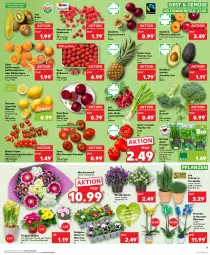 Gazetka promocyjna Kaufland - Prospekt - Gazetka - ważna od 27.03 do 27.03.2024 - strona 5 - produkty: ananas, angebot, angebote, avocado, basilikum, beere, beeren, bio, bioland, blume, Blutorange, broccoli, erdbeere, erdbeeren, frucht, himbeer, himbeere, himbeeren, kiwi, kräuter, Lauchzwiebel, lauchzwiebeln, Löffel, mandarine, mandarinen, Narzissen, obst, orange, orangen, orchidee, paprika, paprika rot, passionsfrucht, petersilie, pflanze, pflanzen, pflaume, pflaumen, Primeln, radieschen, Ria, rispentomaten, rote bete, rwe, saft, Saftorangen, Schal, Schale, schnittlauch, Ti, tisch, tomate, tomaten, topf, topf ø 12 cm, übertopf, zitrone, zitronen, zwiebel, zwiebeln