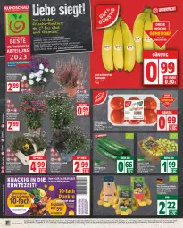 Gazetka promocyjna Edeka - Angebote der Woche - Gazetka - ważna od 02.09 do 02.09.2023 - strona 2 - produkty: Abtei, Astra, banane, bananen, bio, deka, discount, edeka bio, eis, ente, frucht, Garten, gurke, gurken, korb, lebensmittel, LG, obst, pflanze, pflanzen, reis, ring, rosen, rum, salat, Salatgurke, salatgurken, Schal, Schale, speyer, Stiegl, Ti, tomate, tomaten, top-preis, topf, und gemüse, wagner, Wild, ZTE