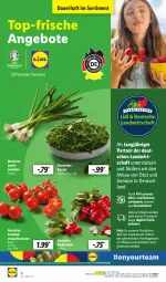 Gazetka promocyjna Lidl - Aktionsprospekt - Gazetka - ważna od 11.05 do 11.05.2024 - strona 6 - produkty: angebot, angebote, auer, Bau, cocktail, cola, erde, ndk, obst, Obst und Gemüse, pflanze, pflanzen, radieschen, Rauch, rucola, Schal, Schale, Sport, strauchtomaten, Ti, tomate, tomaten, und gemüse, zwiebel, zwiebeln