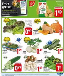 Gazetka promocyjna Edeka - Prospekte - Gazetka - ważna od 01.11 do 01.11.2025 - strona 2 - produkty: bio, blattspinat, braun, butter, champignon, champignons, champignons braun, cola, eis, ente, gurke, gurken, kohlrabi, Kürbis, rucola, salat, Schal, Schale, Spezi, spinat, Ti, Yo, zucchini