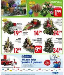 Gazetka promocyjna Edeka - Prospekte - Gazetka - ważna od 01.11 do 01.11.2025 - strona 26 - produkty: coupon, Engel, Grabschale, LG, Parka, payback, pflanze, pflanzen, Ria, rosen, Schal, Schale, Ti, ZTE