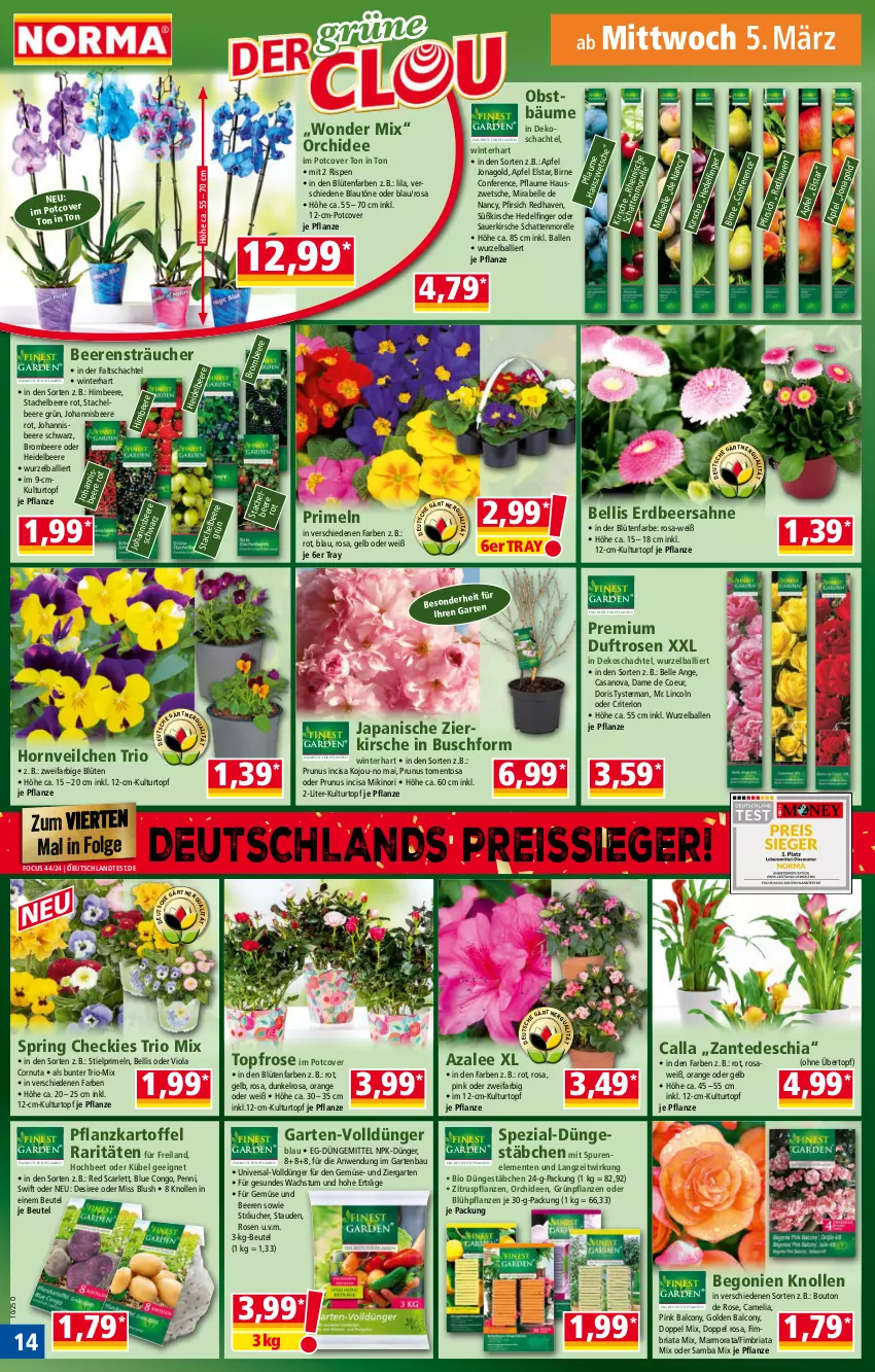 Aktueller Prospekt Norma - Norma - von 03.03 bis 10.03.2025 - strona 14 - produkty: Alcon, apfel, auer, ball, Bau, beere, beeren, Begonie, beutel, bio, Blüte, brombeere, camelia, chia, dünger, eis, elle, ente, Garten, Grünpflanzen, heidelbeere, himbeer, himbeere, HP, johannisbeere, kartoffel, kirsch, kirsche, kulturtopf, LG, mentos, obst, orange, orchidee, orchideen, pfirsich, pflanze, pflanzen, pflaume, Primeln, reis, reiss, rel, Ria, ring, rosen, sahne, Spezi, stauden, Ti, topf, übertopf