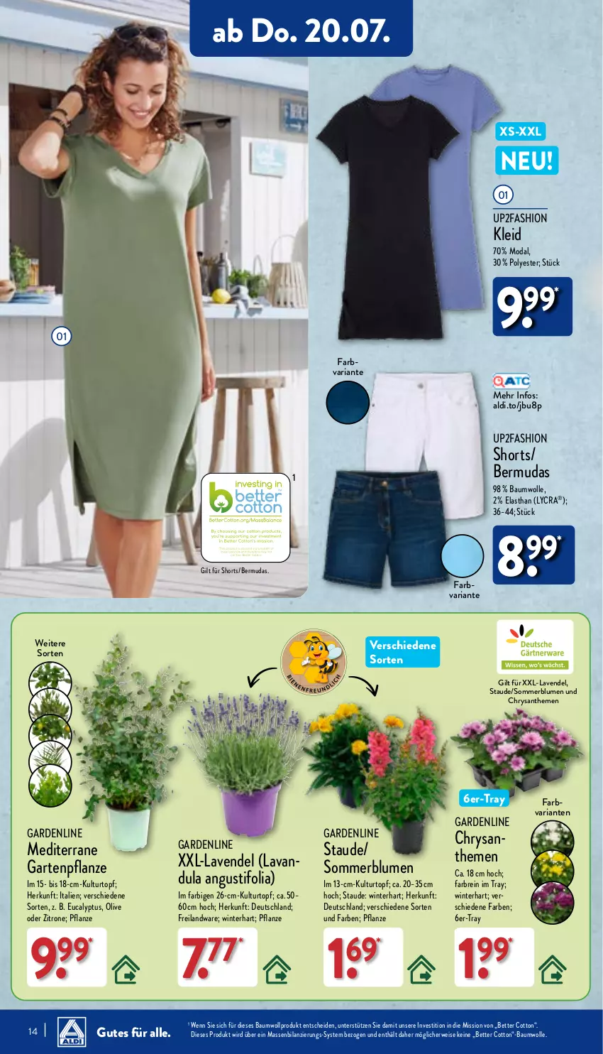 Aktueller Prospekt Aldi Nord - Von Montag - von 17.07 bis 22.07.2023 - strona 14 - produkty: aldi, Bau, baumwolle, bermuda, bermudas, bett, blume, blumen, Blüte, Brei, chrysanthemen, eis, Garten, Gartenpflanze, kleid, kulturtopf, lavendel, olive, pflanze, Ria, rwe, shorts, Ti, topf, up2fashion, wolle, zitrone