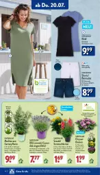 Gazetka promocyjna Aldi Nord - Von Montag - Gazetka - ważna od 22.07 do 22.07.2023 - strona 14 - produkty: aldi, Bau, baumwolle, bermuda, bermudas, bett, blume, blumen, Blüte, Brei, chrysanthemen, eis, Garten, Gartenpflanze, kleid, kulturtopf, lavendel, olive, pflanze, Ria, rwe, shorts, Ti, topf, up2fashion, wolle, zitrone