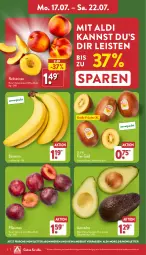 Gazetka promocyjna Aldi Nord - Von Montag - Gazetka - ważna od 22.07 do 22.07.2023 - strona 2 - produkty: aldi, angebot, avocado, avocados, banane, bananen, eis, Elan, früchte, kiwi, Kiwi Gold, Nektar, nektarinen, pflaume, pflaumen, Schal, Schale, Ti, zespri, ZTE