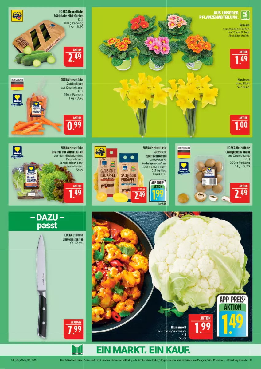 Aktueller Prospekt Marktkauf - Prospekt - von 01.02 bis 07.02.2026 - strona 11 - produkty: apfel, ball, braun, champignon, champignons, champignons braun, deka, eis, gurke, gurken, kartoffel, kartoffeln, messer, mini-gurken, möhren, Narzissen, Primeln, reis, salat, snack, speisekartoffeln, Ti, topf