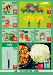 Gazetka promocyjna Marktkauf - Prospekt - Gazetka - ważna od 07.02 do 07.02.2026 - strona 11 - produkty: apfel, ball, braun, champignon, champignons, champignons braun, deka, eis, gurke, gurken, kartoffel, kartoffeln, messer, mini-gurken, möhren, Narzissen, Primeln, reis, salat, snack, speisekartoffeln, Ti, topf