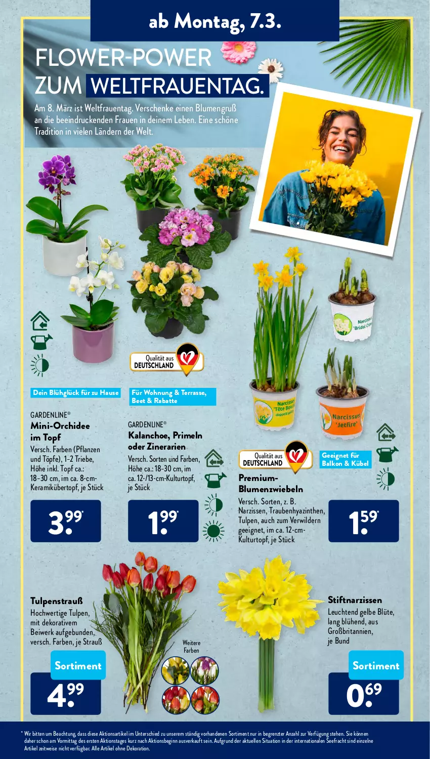 Aktueller Prospekt AldiSud - ALDI Aktuell - von 07.03 bis 12.03.2022 - strona 11 - produkty: alle artikel ohne dekoration, blume, blumen, Blüte, brita, dekoration, eis, elle, gardenline®, gin, Kalanchoe, kulturtopf, Leuchte, leuchten, Narzissen, orchidee, pflanze, pflanzen, Primeln, Ti, topf, trauben, übertopf, Wild, ZTE, zwiebel, zwiebeln