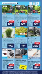 Gazetka promocyjna AldiSud - ALDI Aktuell - Gazetka - ważna od 12.03 do 12.03.2022 - strona 13 - produkty: akku, Akku-Staubsauger, aldi, angebot, angebote, aust, bambus, beleuchtung, beutel, Brei, decke, eis, elle, erde, Garten, kamera, Kraut, lack, led-beleuchtung, LG, Liege, rasen, rasenmäher, reis, rwe, smartphone, staubsauger, Teleskop, Ti, timer, tisch, topf, usb, wandhalterung