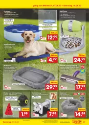 Gazetka promocyjna Netto Marken-Discount - Filial-Angebote - Gazetka - ważna od 10.06 do 10.06.2023 - strona 37 - produkty: Abba, angebot, aust, ball, batterie, Bau, bestpreis, eis, elle, kissen, led-licht, leine, minze, pool, reis, snack, snacks, spielzeug, Stier, Ti, Tiere, wasser, ZTE