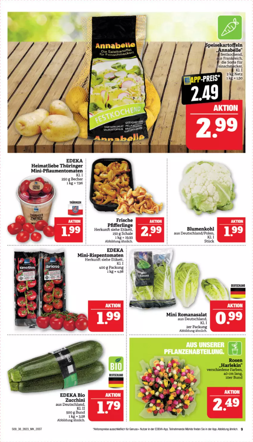 Aktueller Prospekt Marktkauf - Prospekt - von 17.09 bis 23.09.2023 - strona 9 - produkty: aktionspreis, Becher, bio, blume, blumen, blumenkohl, deka, edeka bio, eis, mini-rispentomaten, nuss, Pfifferlinge, reis, ring, rispentomaten, Romanasalat, salat, Schal, Schale, Ti, tomate, tomaten, zucchini