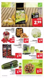 Gazetka promocyjna Marktkauf - Prospekt - Gazetka - ważna od 23.09 do 23.09.2023 - strona 9 - produkty: aktionspreis, Becher, bio, blume, blumen, blumenkohl, deka, edeka bio, eis, mini-rispentomaten, nuss, Pfifferlinge, reis, ring, rispentomaten, Romanasalat, salat, Schal, Schale, Ti, tomate, tomaten, zucchini