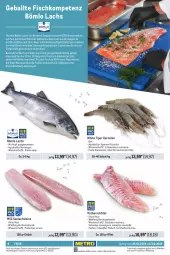 Gazetka promocyjna Metro - GastroJournal - Gazetka - ważna od 07.02 do 07.02.2024 - strona 6 - produkty: Abtei, angebot, angebote, aqua, ball, brut, eis, ente, erde, filet, fisch, fische, Fischer, fleisch, frischfisch, garnelen, lachs, Meerwasser, Metro, ring, Rotbarsch, rotbarschfilet, rwe, Schere, Ti, trolli, wasser, Wild