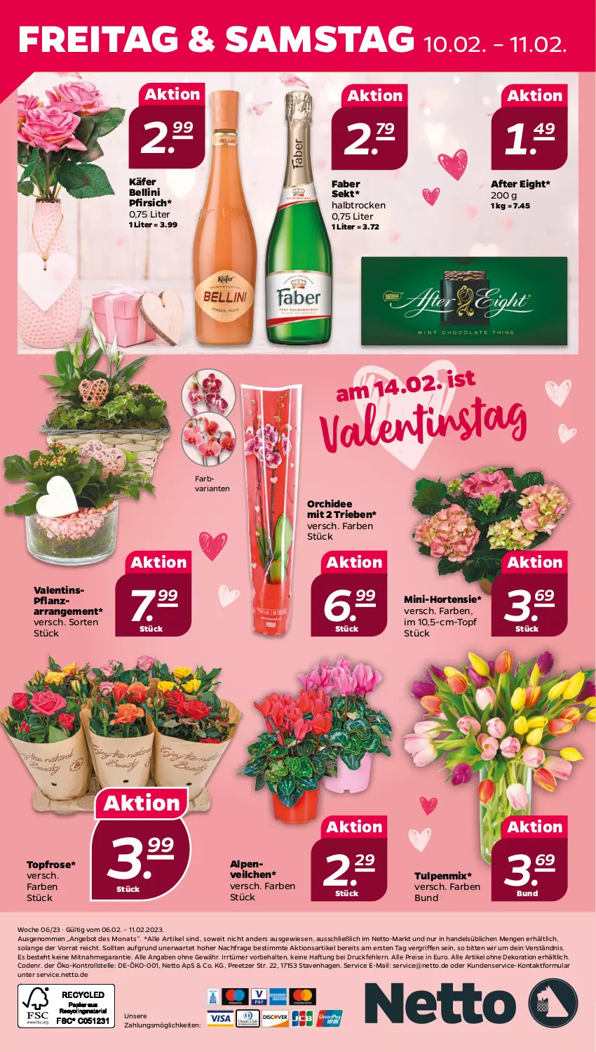 Aktueller Prospekt Netto - Woche 6 - von 06.02 bis 11.02.2023 - strona 24 - produkty: after eight, alle artikel ohne dekoration, Alpenveilchen, angebot, dekoration, eis, elle, hortensie, käfer, orchidee, pfirsich, reis, Ria, sekt, Ti, topf