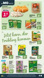 Gazetka promocyjna Netto - Woche 6 - Gazetka - ważna od 11.02 do 11.02.2023 - strona 14 - produkty: auer, balkonpflanzen, beere, beutel, bio, Bio-Obst, dünger, erdbeere, erde, früchte, Gemüsedünger, hülsenfrüchte, Komposter, obst, orchidee, orchideen, Orchideenerde, pflanze, pflanzen, pflanzerde, quad, Quadro, rasen, rasendünger, Schal, Schalotte, senf, Ti, tomate, und gemüse, ZTE, zwiebel, zwiebeln