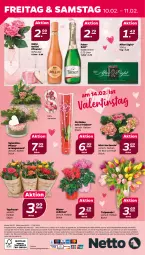 Gazetka promocyjna Netto - Woche 6 - Gazetka - ważna od 11.02 do 11.02.2023 - strona 24 - produkty: after eight, alle artikel ohne dekoration, Alpenveilchen, angebot, dekoration, eis, elle, hortensie, käfer, orchidee, pfirsich, reis, Ria, sekt, Ti, topf