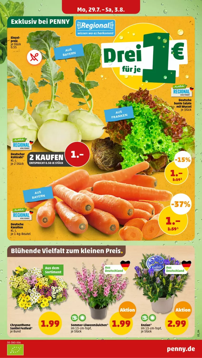 Aktueller Prospekt Penny - Prospekte - von 29.07 bis 03.08.2024 - strona 3 - produkty: kohlrabi, tesa, Ti, topf