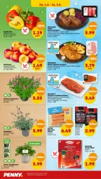 Gazetka promocyjna Penny - Prospekte - Gazetka - ważna od 03.08 do 03.08.2024 - strona 26 - produkty: beef, eis, fleisch, grill, Grünpflanzen, Holz, jungbullen, Nektar, nektarinen, paprika, pflanze, pflanzen, regal, reis, rind, rinder, rinder-rouladen, rouladen, Schal, Schale, schnitzel, schwein, schweine, schweine-schnitzel, serrano, topf, wein, weine, ZTE