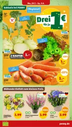 Gazetka promocyjna Penny - Prospekte - Gazetka - ważna od 03.08 do 03.08.2024 - strona 3 - produkty: kohlrabi, tesa, Ti, topf