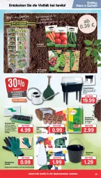 Gazetka promocyjna Famila - Prospekte - Gazetka - ważna od 03.02 do 03.02.2024 - strona 29 - produkty: Bau, Baueimer, beutel, bio, brause, decke, Deckel, dell, eimer, eis, erde, Garten, Gewächshaus, Gießkanne, handschuhe, Hobby, kräuter, Mode, pflanze, pflanzen, Ria, schuhe, Ti, tisch