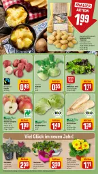 Gazetka promocyjna Rewe - Prospekte - Gazetka - ważna od 30.12 do 30.12.2023 - strona 9 - produkty: asti, bio, Blüte, eis, eisbergsalat, glücksklee, kartoffel, kartoffeln, kohlrabi, kräuter, pflanze, salat, Schal, Schale, schwein, speisekartoffeln, tafeläpfel, Ti, topf, wein, Wild