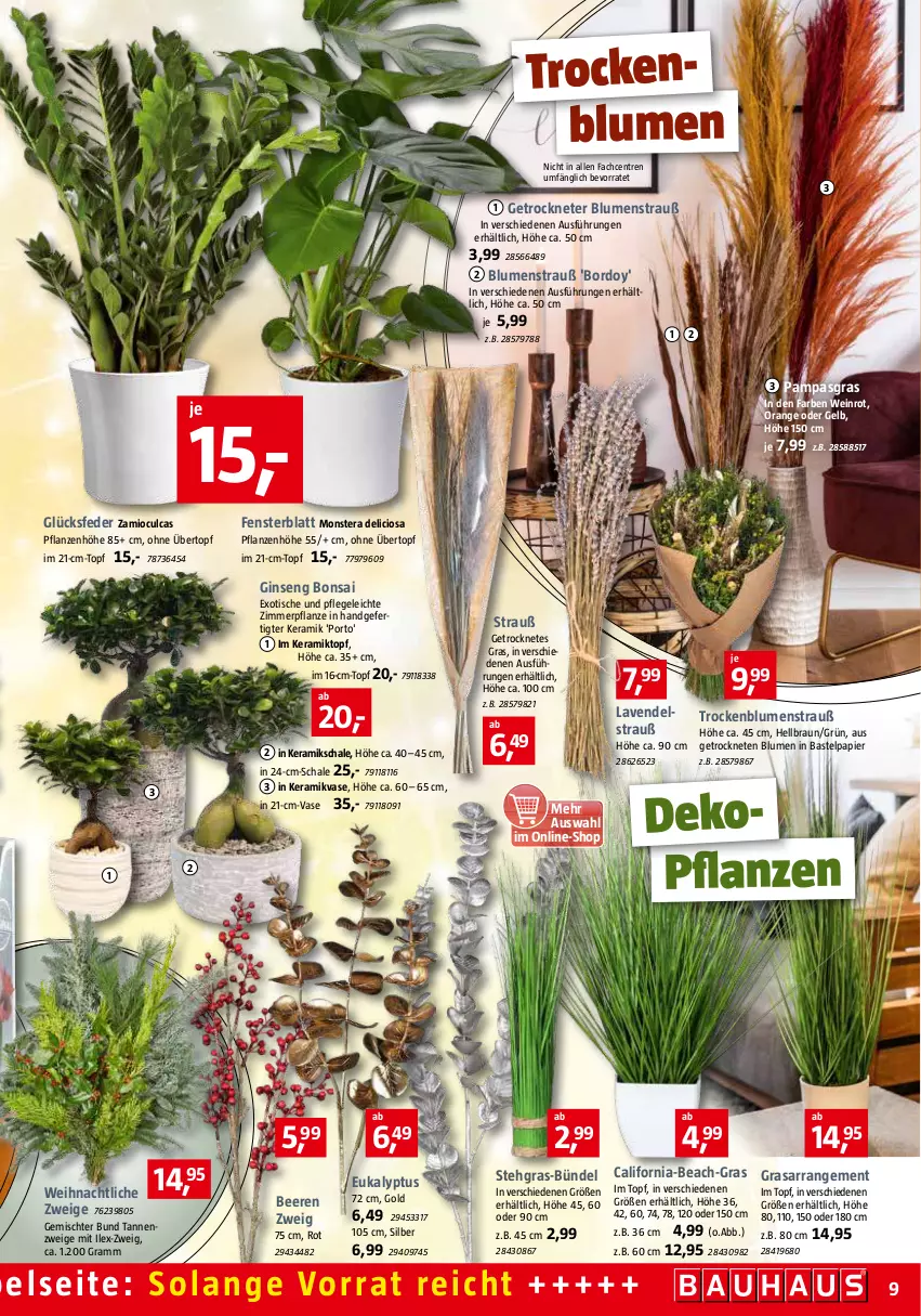 Aktueller Prospekt Bauhaus - Prospekte - von 03.12 bis 31.12.2022 - strona 9 - produkty: beere, beeren, blume, blumen, Blumenstrauß, braun, fenster, gin, lavendel, monster, Monstera, orange, papier, pflanze, pflanzen, Schal, Schale, Ti, tisch, topf, übertopf, Vase, wein