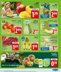 Gazetka promocyjna Edeka - Prospekte - Gazetka - ważna od 11.07 do 11.07.2026 - strona 4 - produkty: bett, Elan, honig, honigmelone, melone