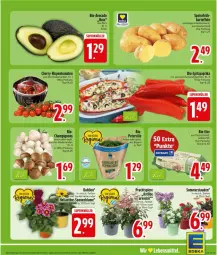 Gazetka promocyjna Edeka - Prospekte - Gazetka - ważna od 11.07 do 11.07.2026 - strona 5 - produkty: bio, eier, eis, K2, kartoffel, kartoffeln, paprika, rispentomaten, Spitzpaprika, tomate, tomaten