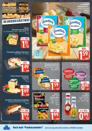 Gazetka promocyjna Edeka - Prospekte - Gazetka - ważna od 22.08 do 22.08.2026 - strona 13 - produkty: Bad, burlander, champignon, Käse, landkäse, LG, ndk, pfanne, pfannen, pfannenkäse, schnittkäse, Ti, Tilsiter, torte
