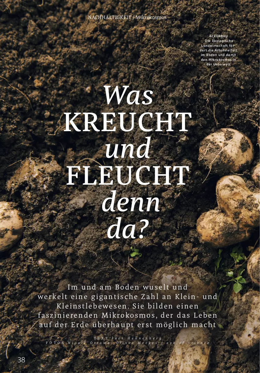 Aktueller Prospekt Rossmann - Prospekte - von 02.06 bis 31.08.2025 - strona 38 - produkty: Bau, erde, mac, rwe, Ti