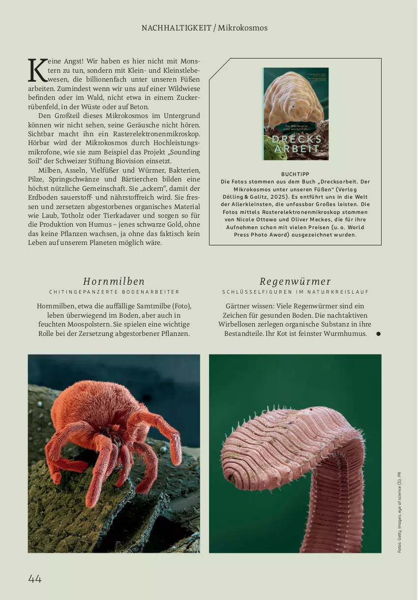 Aktueller Prospekt Rossmann - Prospekte - von 02.06 bis 31.08.2025 - strona 44 - produkty: auer, bio, buch, Cien, eis, Elektro, Holz, lion, mac, monster, natur, olive, pflanze, pflanzen, pilze, reis, rel, Ria, ring, Spiele, Ti, tisch, Wild, zucker