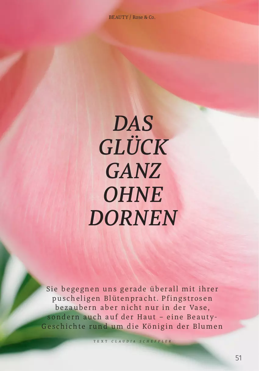 Aktueller Prospekt Rossmann - Prospekte - von 02.06 bis 31.08.2025 - strona 51 - produkty: blume, blumen, Blüte, gin, Pfingstrosen, rosen