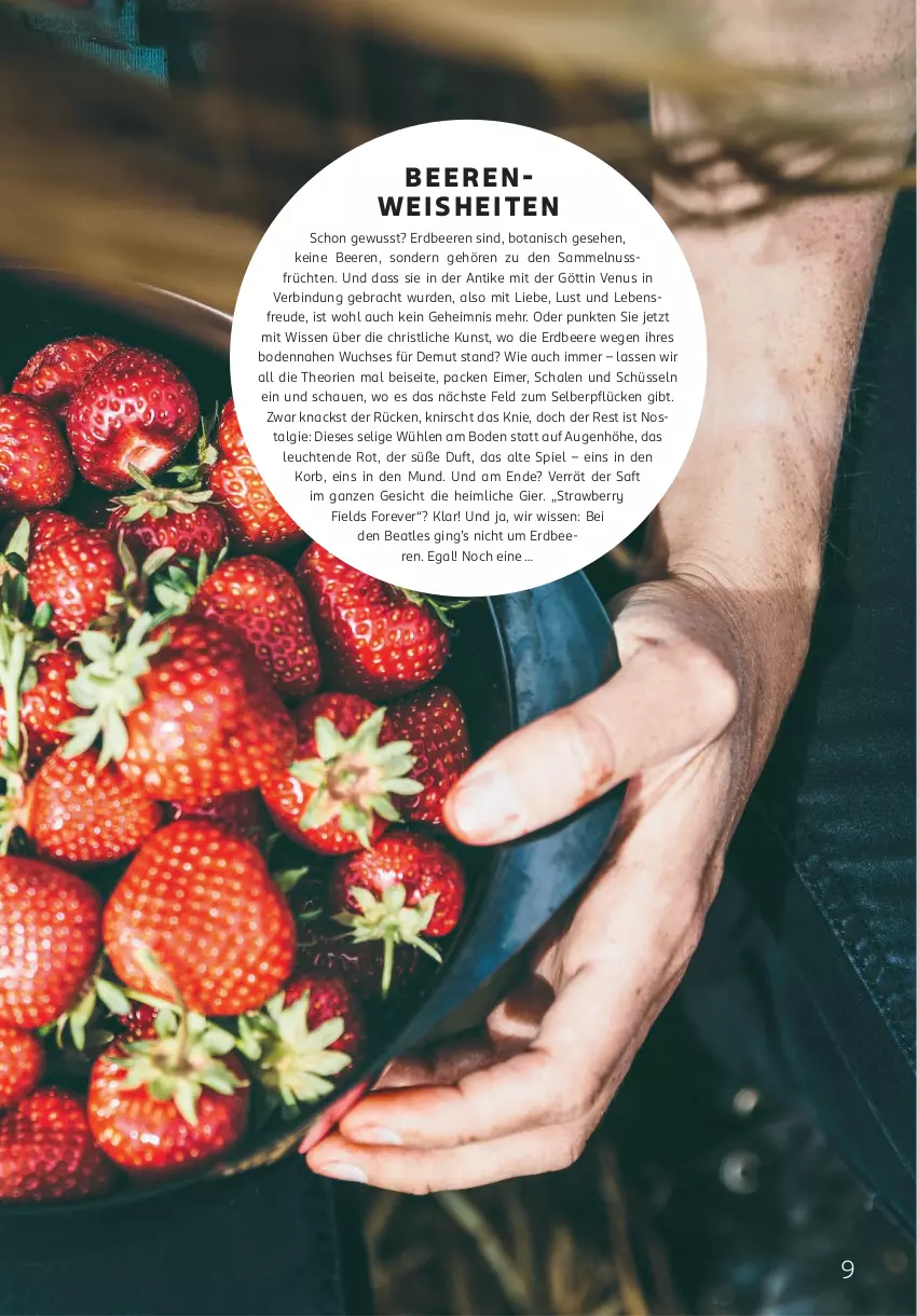 Aktueller Prospekt Rossmann - Prospekte - von 02.06 bis 31.08.2025 - strona 9 - produkty: beere, beeren, eimer, eis, erdbeere, erdbeeren, früchte, früchten, gin, korb, Leuchte, leuchten, LG, nuss, saft, Schal, Schale, schüssel, Ti, venus