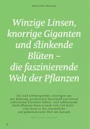 Gazetka promocyjna Rossmann - Prospekte - Gazetka - ważna od 31.08 do 31.08.2025 - strona 16 - produkty: auer, Blüte, eis, knorr, linsen, pflanze, pflanzen, reis, Ti