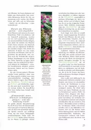 Gazetka promocyjna Rossmann - Prospekte - Gazetka - ważna od 31.08 do 31.08.2025 - strona 21 - produkty: Alpenveilchen, auer, aust, Bad, basilikum, Bau, beko, bio, blume, blumen, Blüte, bohne, bohnen, braun, Brei, eis, Elan, elle, ente, erde, Heu, Holz, lavendel, leine, LG, lion, orchidee, orchideen, petunie, petunien, pflanze, pflanzen, Rauch, ring, rwe, Schal, sekt, Spezi, Ti, wasser, WICK, Wild, ZTE
