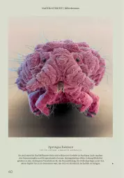 Gazetka promocyjna Rossmann - Prospekte - Gazetka - ważna od 31.08 do 31.08.2025 - strona 40 - produkty: Bau, Mode, ring, rum, Ti, usb