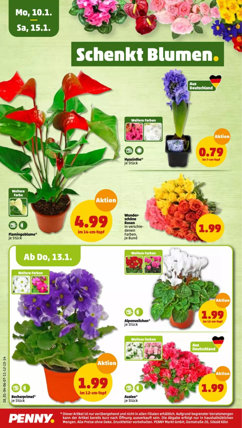 Aktueller Prospekt Penny - Prospekte - von 10.01 bis 15.01.2022 - strona 16 - produkty: Becher, blume, rosen