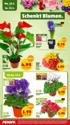 Gazetka promocyjna Penny - Prospekte - Gazetka - ważna od 15.01 do 15.01.2022 - strona 16 - produkty: Becher, blume, rosen