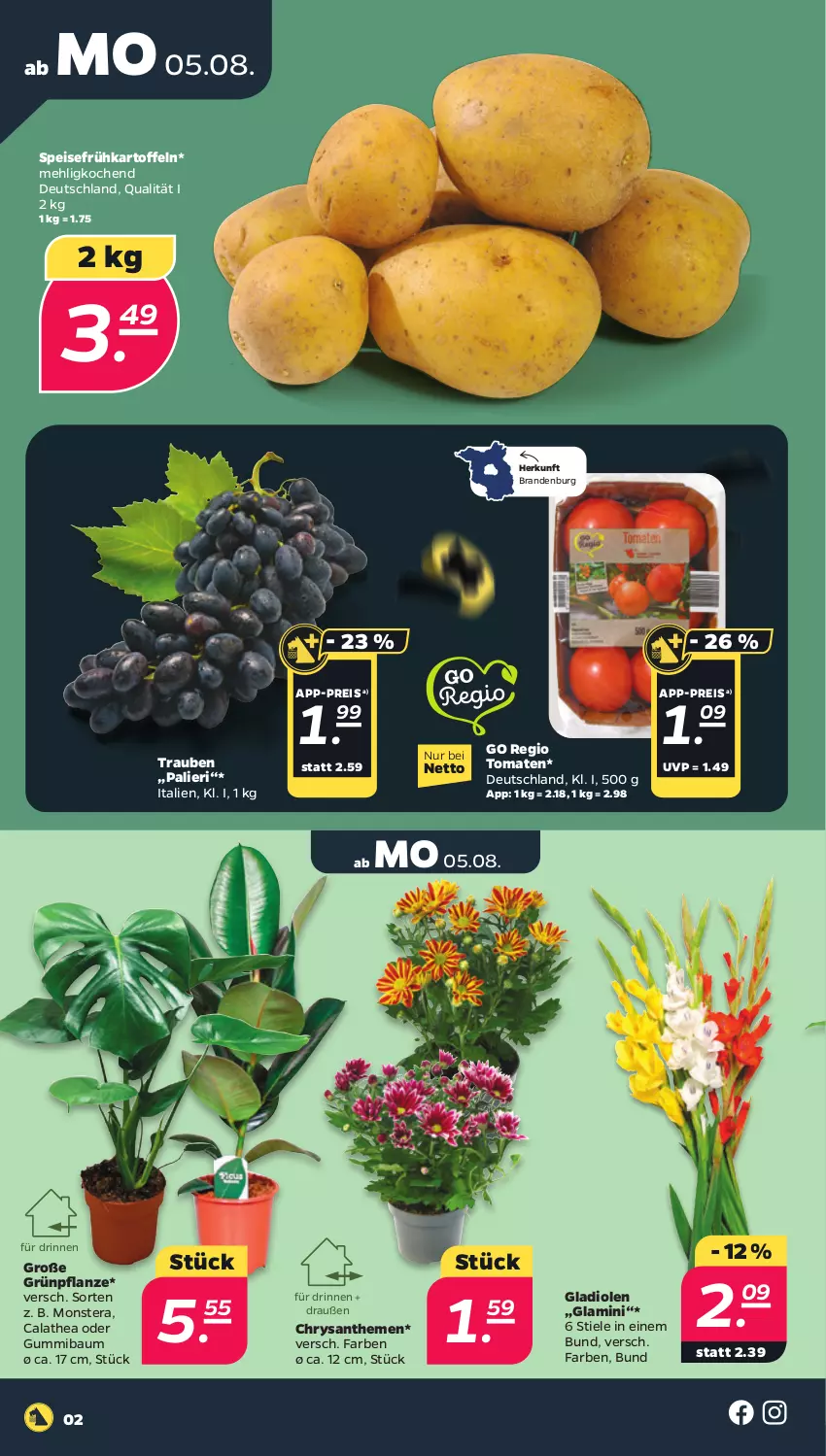 Aktueller Prospekt Netto - Woche 32 - von 05.08 bis 10.08.2024 - strona 2 - produkty: Bau, chrysanthemen, eis, Frühkartoffeln, Gladiolen, kartoffel, kartoffeln, mehl, monster, Monstera, pflanze, reis, speisefrühkartoffeln, Thea, Ti, tomate, tomaten, trauben