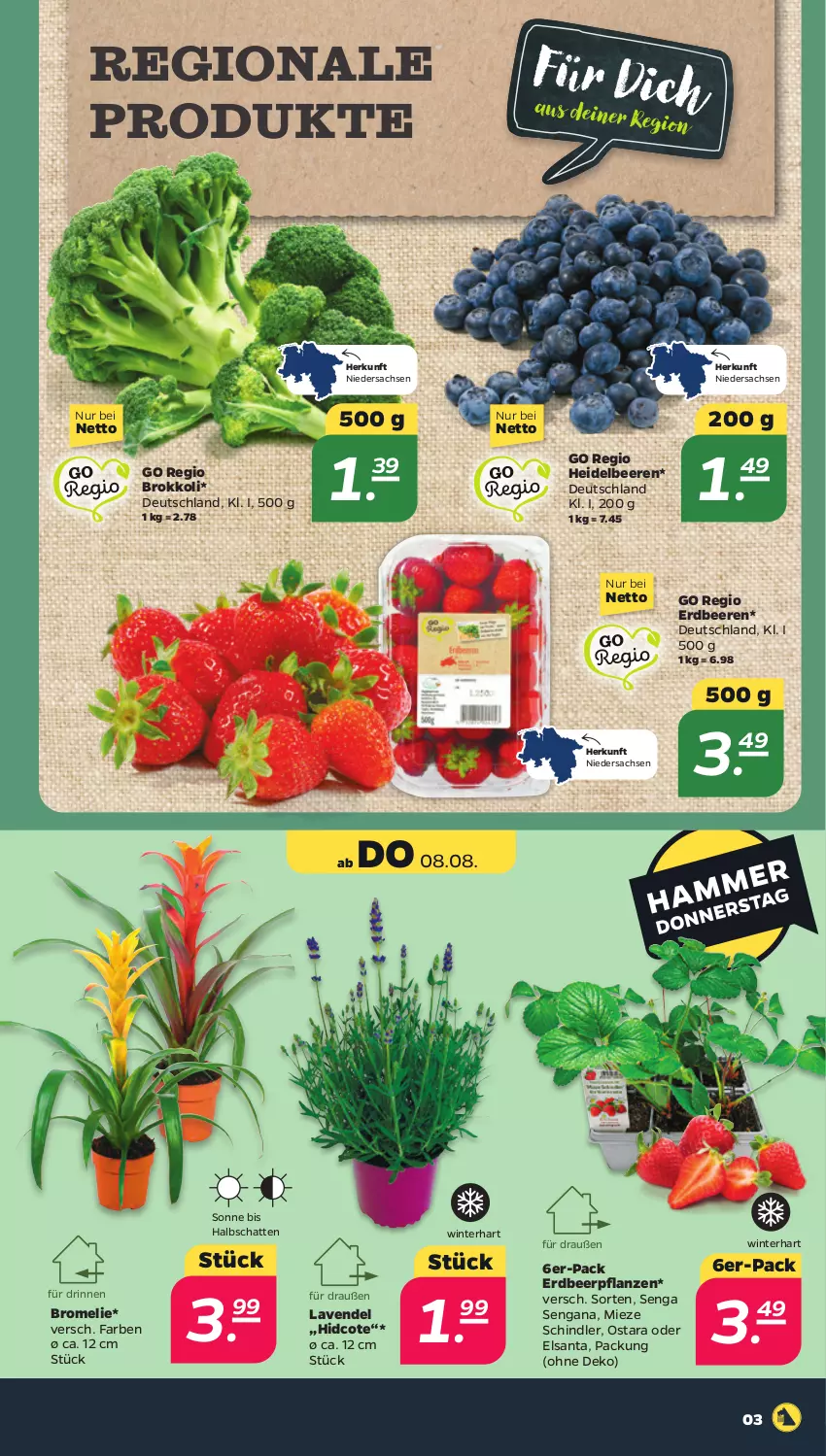 Aktueller Prospekt Netto - Woche 32 - von 05.08 bis 10.08.2024 - strona 3 - produkty: beere, beeren, brokkoli, Bromelie, erdbeere, erdbeeren, Erdbeerpflanze, heidelbeere, heidelbeeren, lavendel, pflanze, pflanzen, sac