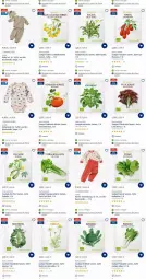 Gazetka promocyjna Dm Drogerie - Prospekte - Gazetka - ważna od 07.06 do 07.06.2023 - strona 4 - produkty: Anzug, Bau, baumwolle, bio, body, brokkoli, butter, caria, cocktail, cola, eis, elle, Kamill, kamille, Kinder, kiri, Koriander, Kürbis, latte, mango, Ria, rosen, Rosenkohl, rucola, salat, Schlafanzug, spinat, Stangensellerie, Ti, tomate, tomaten, Wild, wolle, zucchini