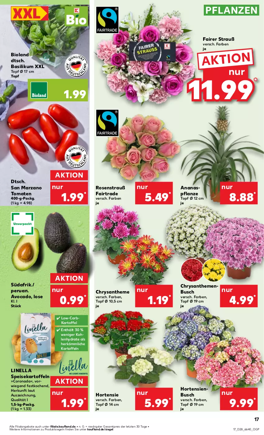 Aktueller Prospekt Kaufland - Prospekt - von 11.07 bis 17.07.2024 - strona 17 - produkty: ananas, angebot, angebote, avocado, basilikum, bio, bioland, chrysanthemen, corona, eis, hortensie, hortensien, kartoffel, kartoffeln, pflanze, pflanzen, reis, rosen, Rosenstrauß, speisekartoffeln, Ti, tomate, tomaten, topf, topf ø 12 cm, ZTE